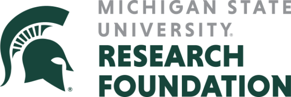 Michigan Strategic Fund