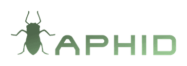 Aphid